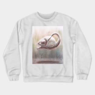 Klein Bottle Fish Crewneck Sweatshirt